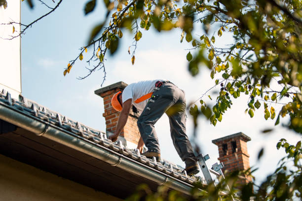 Best Flat Roofing  in Audubon, IA