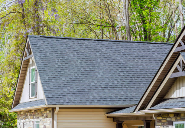 Best Commercial Roofing Services  in Audubon, IA