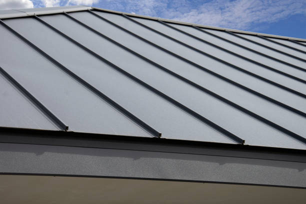 Best Metal Roofing Installation  in Audubon, IA